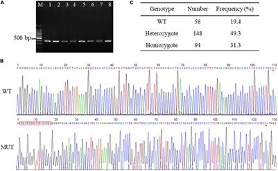 A Functional Variant in the Aquaporin-3 Promoter Modulates Its Expression and Correlates With Resistance to Porcine Epidemic Virus Infection in Porcine Intestinal Epithelial Cells